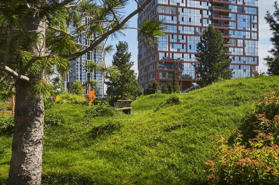 Ясный берег